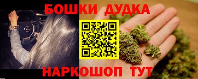 тгк Бердск