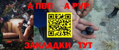 тгк Бердск