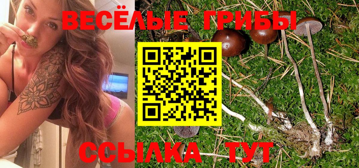 Урай  Галлюциногенные грибы GOLDEN TEACHER  Вход с VPN 